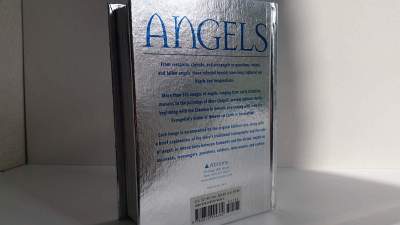 Andělé (Angels) – Marco Bussagli